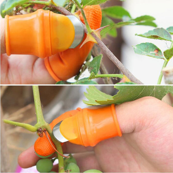 Farm Vegetable Fruit Picker Pickle Pepper Pickle Tip Picker Iron Nail Pick Grape Picker For Garden Tool And Vegetable Patch